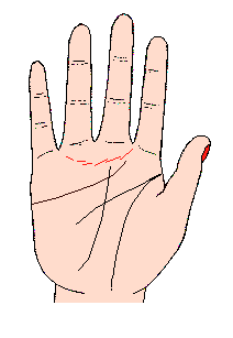 金星帶又名（金星線），感情線上方