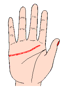 感情線圖解：感情線過長