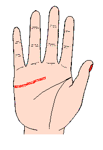 感情線圖解：感情線短