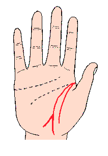 生命線圖解：生命線從起點至末端不間斷
