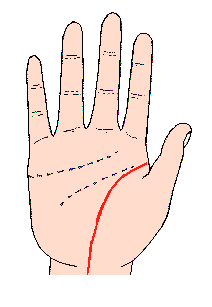 生命線圖解：生命線長至手頸中部