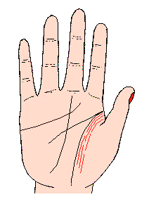 手相影響線，影響線圖解，手相影響線算命圖解