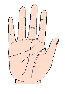 影響線圖解：手相影響線算命圖解