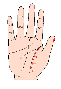 手相影響線，影響線圖解，手相影響線算命圖解