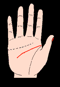 智慧線，智慧線圖解，手相智慧線算命圖解