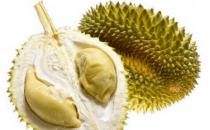 榴蓮不能和什么一起吃？吃榴蓮的飲食禁忌