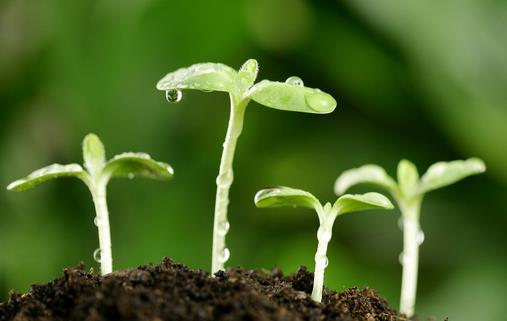 9月10日是什么節(jié)日？世界預(yù)防自殺日是幾月幾日