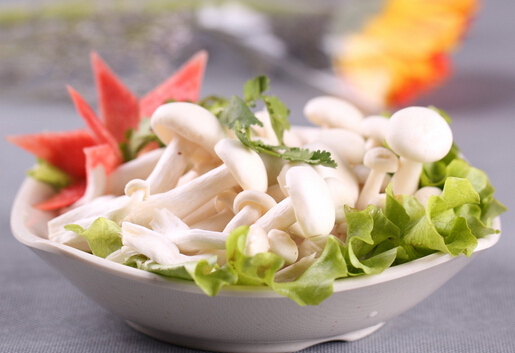 吃杏鮑菇的注意事項(xiàng)-吃杏鮑菇要放味精嗎