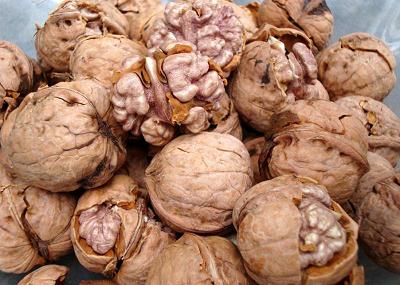 吃核桃有什么好處?核桃的功效與作用及營養價值