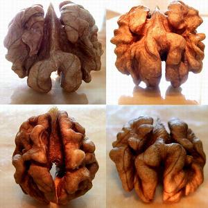 吃核桃有什么好處?核桃的功效與作用