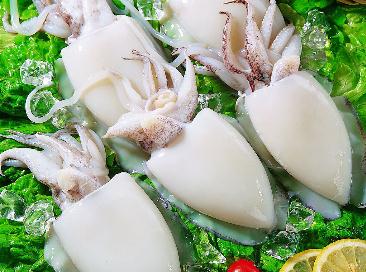 墨魚的營養(yǎng)價值