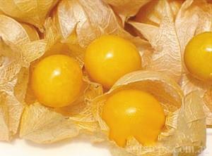 東北姑娘兒果是什么水果？姑鳥兒的營養價值