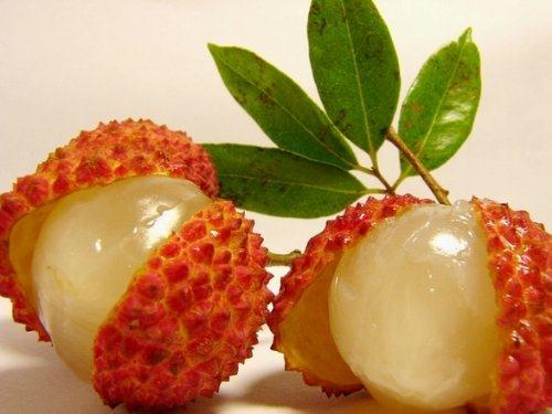 怎樣吃荔枝不上火？吃荔枝上火怎么辦？荔枝的功效與作用