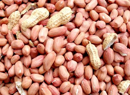 吃花生米有什么好處？花生米的營養價值