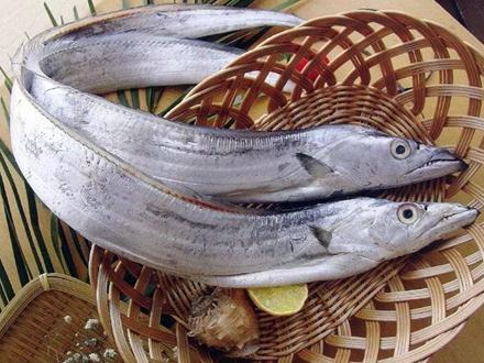 吃帶魚(yú)的好處-帶魚(yú)的營(yíng)養(yǎng)價(jià)值