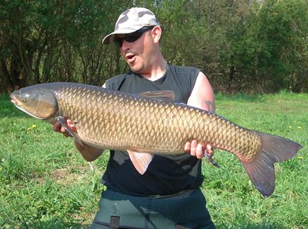 草魚的營養(yǎng)價值-哪些人最適合吃草魚