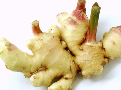 生姜發芽能吃嗎？吃生姜的5大食用禁忌