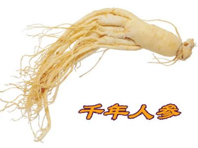 什么人不能吃人參？人參果怎么吃最好