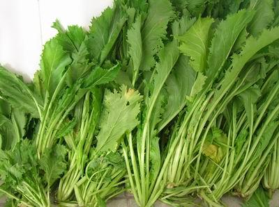 雪里紅的營養價值-雪里紅的食療作用