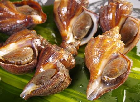 海螺的營(yíng)養(yǎng)價(jià)值-海螺的食療作用