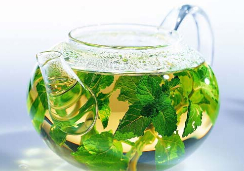 薄荷茶的營養(yǎng)價值-薄荷茶的副作用