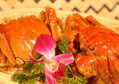 大閘蟹的營養價值與功效-大閘蟹怎么吃？