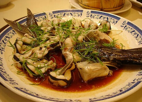 鴨嘴魚是什么？鴨嘴魚的營養價值