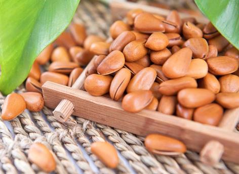 吃松子有什么好處？松子的營養價值、功效與作用