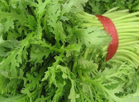 吃茼蒿有什么好處？茼蒿的功效與作用