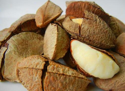 鮑魚果的營養(yǎng)價值-鮑魚果的功效與作用