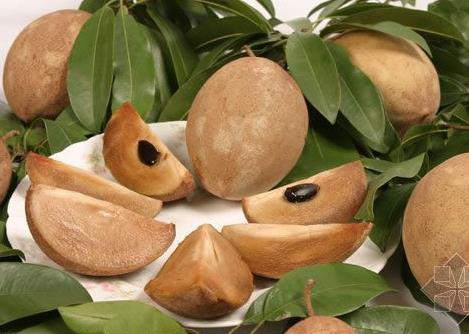 人心果的營養(yǎng)價(jià)值-人心果的功效與作用