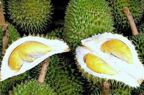 榴蓮的營養價值、功效與作用、食用禁忌