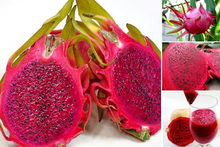 火龍果的營(yíng)養(yǎng)價(jià)值、功效與作用、食用禁忌