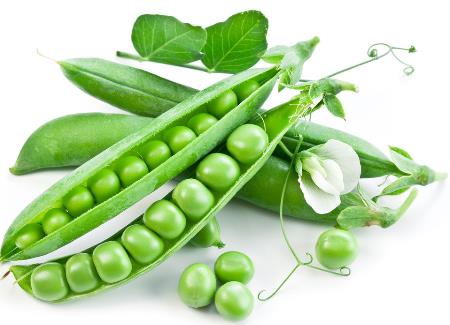 吃豌豆有什么好處？豌豆的功效與作用及禁忌