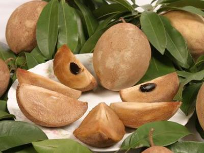 人心果怎么吃？人心果的功效與作用營養(yǎng)成分