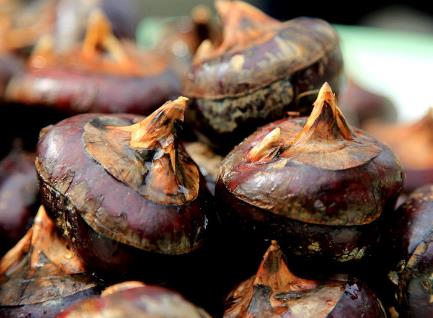 吃馬蹄有什么好處?馬蹄/荸薺的功效與作用