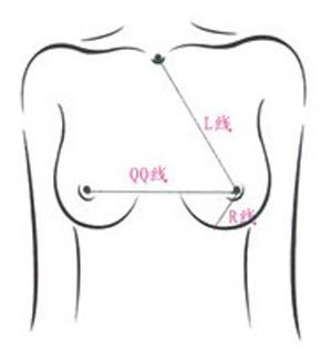 胸圍怎么算?你的胸圍是否標準?女人完美乳房標準詳細圖解