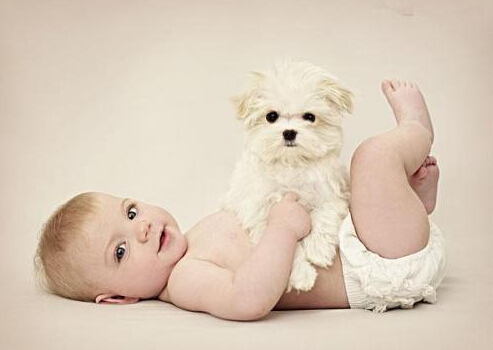 如何正確飲食?優(yōu)生優(yōu)育從飲食開始