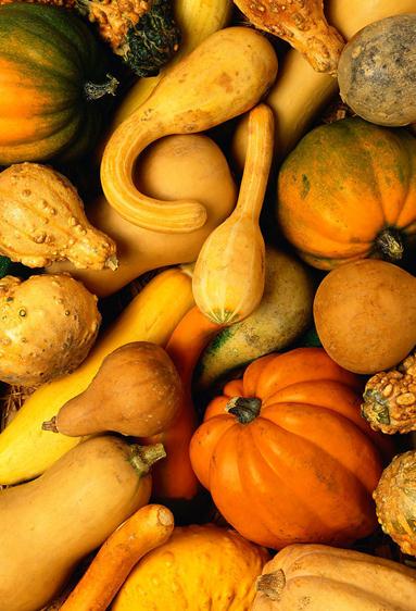 怎樣挑選南瓜？南瓜的挑選方法