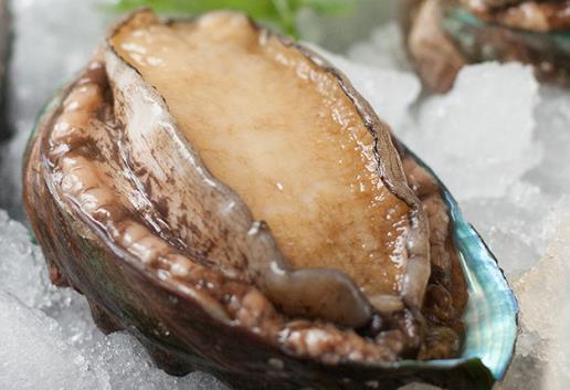 如何挑選優(yōu)質(zhì)鮑魚？鮑魚的挑選方法
