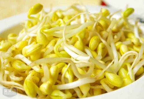 如何發(fā)黃豆芽?家庭怎么發(fā)黃豆芽