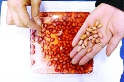 如何鑒別染色花生米?怎樣識別真假花生米