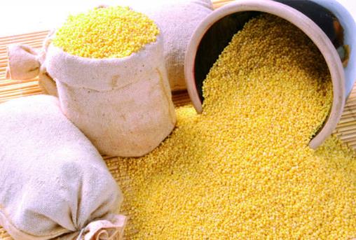 怎么鑒別小米的真假？如何識別染色小米