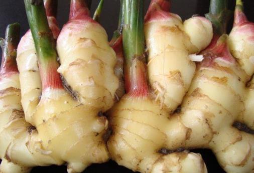 如何挑選新鮮的生姜？怎么辨別姜的好壞