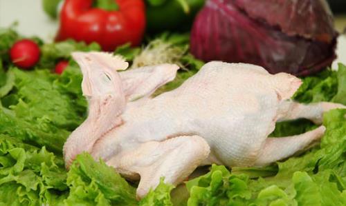 如何鑒別鮮雞和冰鮮雞？怎么挑選鮮雞