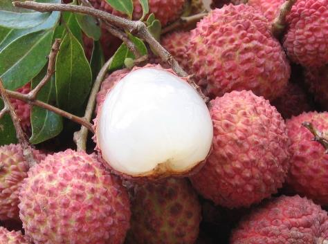 荔枝如何保鮮保存？荔枝保鮮小常識