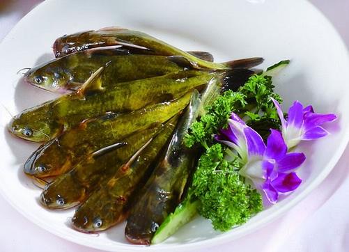 如何選購(gòu)野生黃辣丁?選購(gòu)野生黃辣丁的小技巧