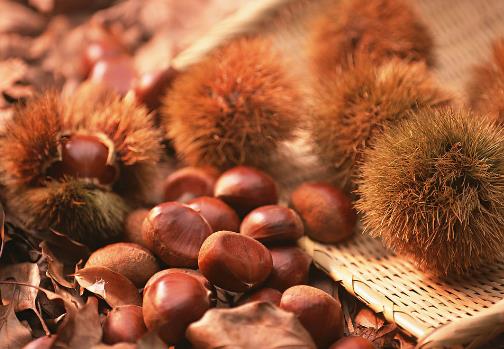 板栗怎么保存？板栗的儲(chǔ)存方法