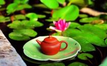 怎么喝荷葉茶才能健康減肥？