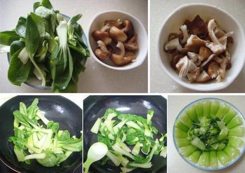 油菜怎么做好吃？油菜的做法大全